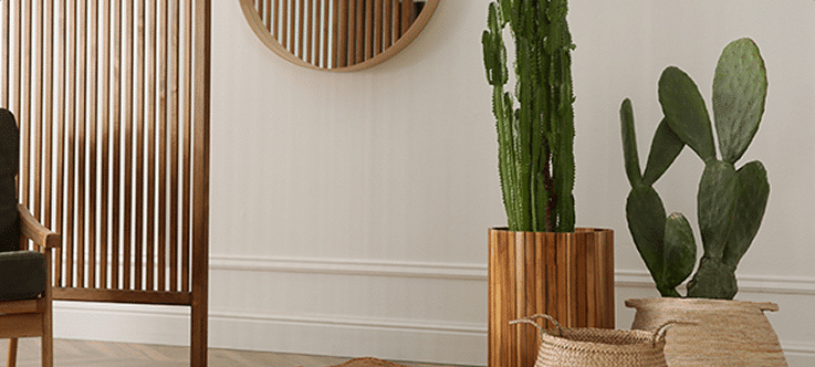 Deux cactus dans des pots en bois et en osier sont placés devant un miroir rond et un panneau en bois.
