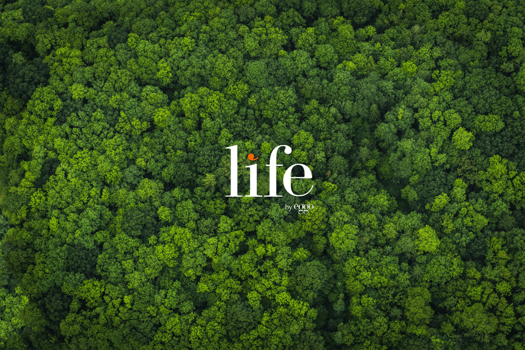 Vue aérienne d'une forêt dense et verdoyante avec le mot "life" en blanc au centre de l'image.